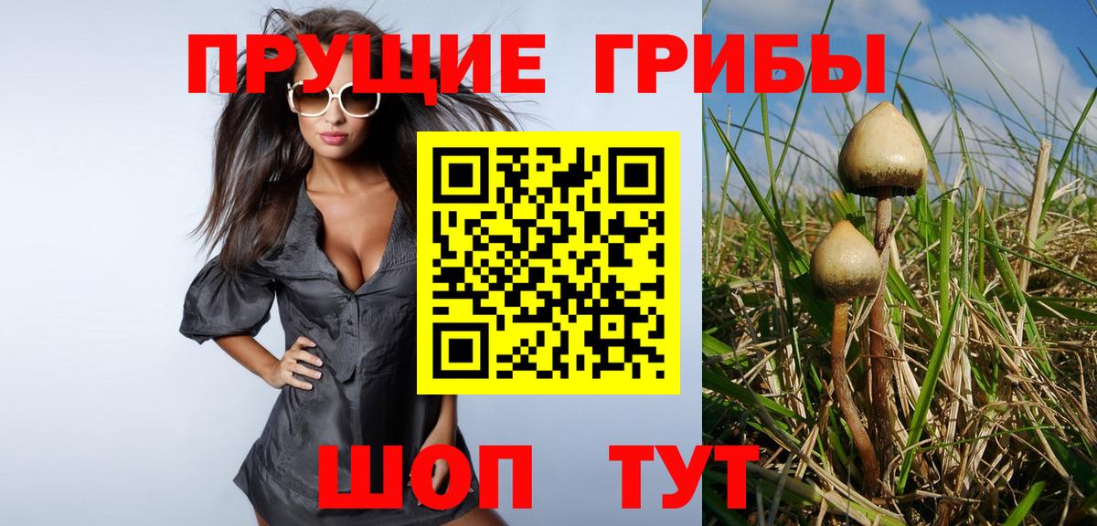 дарнет шоп  Вход с VPN  Ростов Великий  Галлюциногенные грибы Psilocybine cubensis 